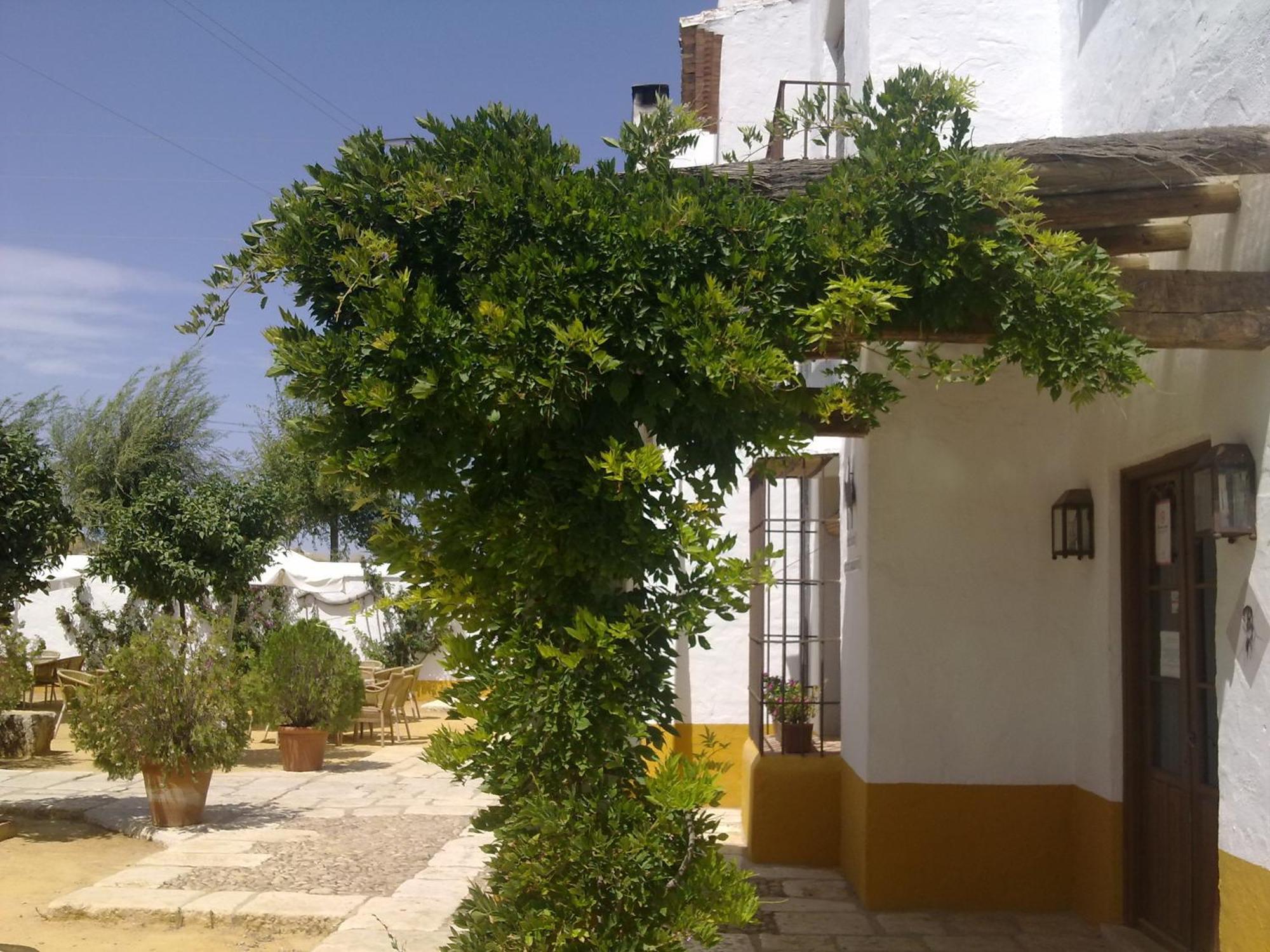Posada De Jose Mª El Tempranillo Alameda Εξωτερικό φωτογραφία